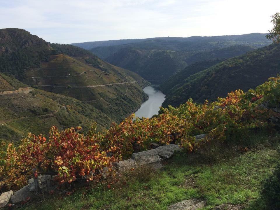 Acogedor Apartamento Ribeira Sacra Monforte De Lemos Exterior foto